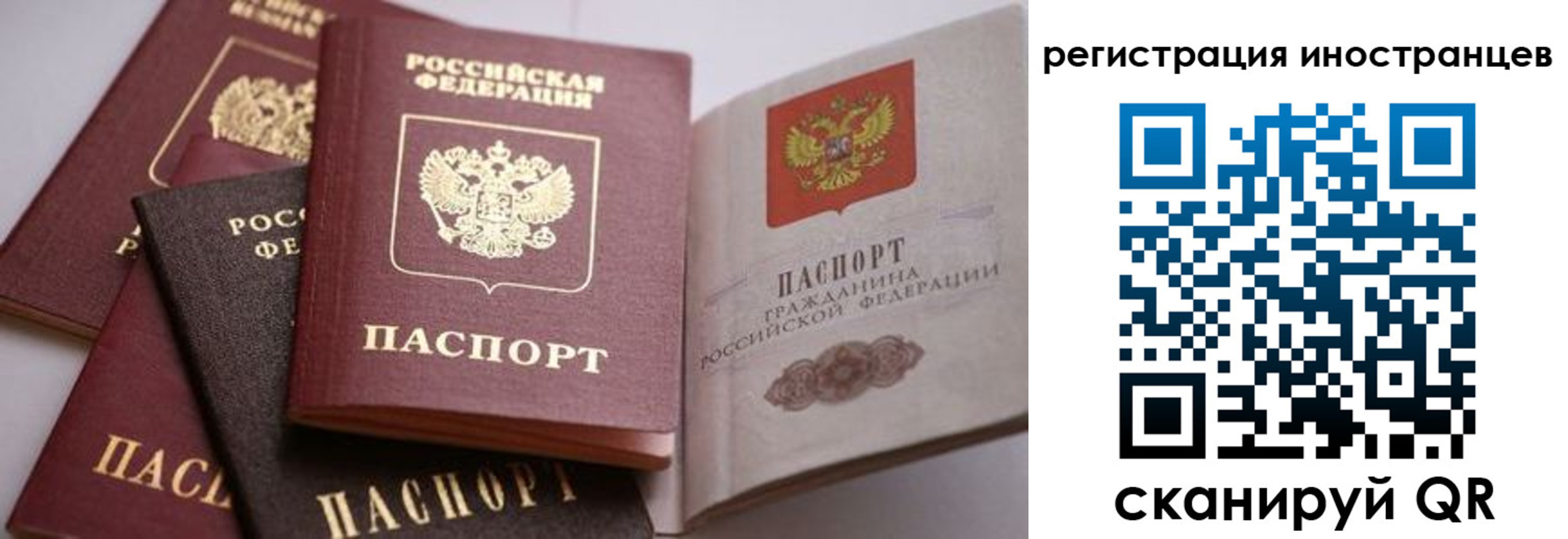 прописка штамп в Сураже
